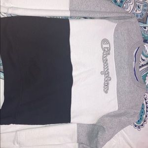 Champion sweatshirt